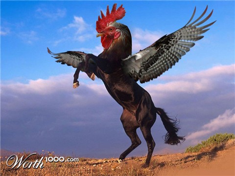 Photoshop Design by jhilgeman