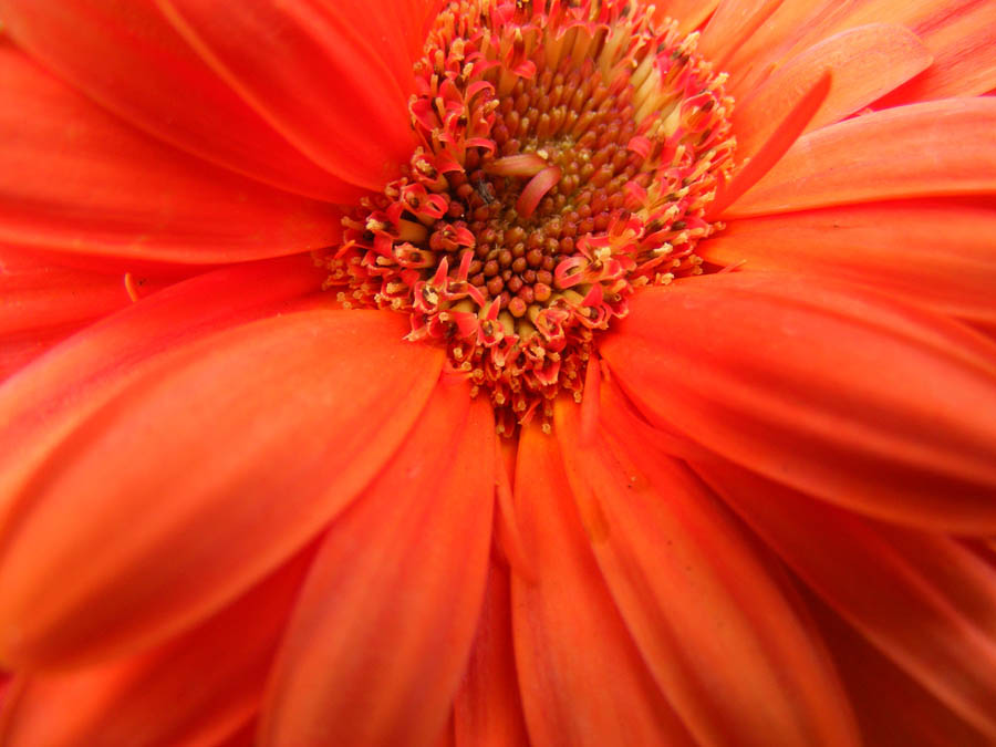 Photography by Feature for DesignCrowd (Community Contests) | Design #8951511