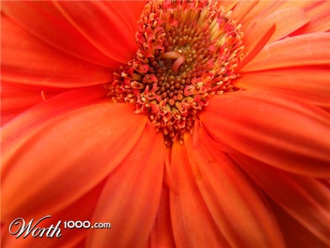 Photography by Feature