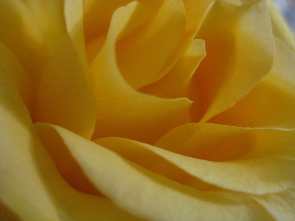 Photography by joshmom for DesignCrowd (Community Contests) | Design #8947065