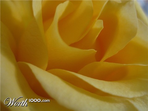 Photography by joshmom