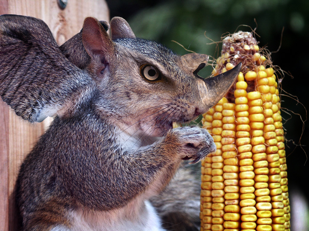 Diseño de Photoshop por Justincorkum7 para DesignCrowd (Community Contests) | Diseño #8949732