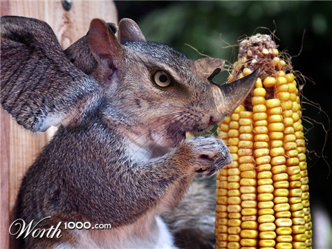 Photoshop Design by Justincorkum7