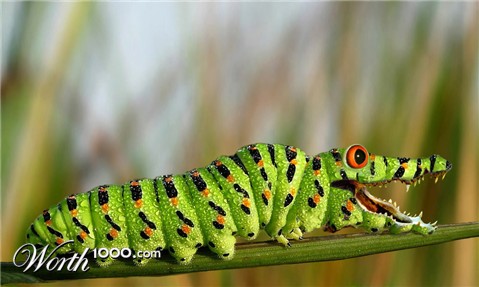 Photoshop Design by macwithfries