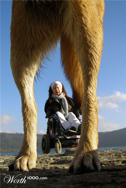 Photography by downknew