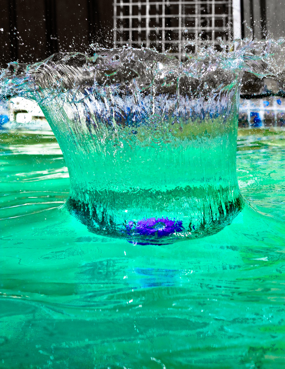 Photography by Iamnotworthy for DesignCrowd (Community Contests) | Design #8948073