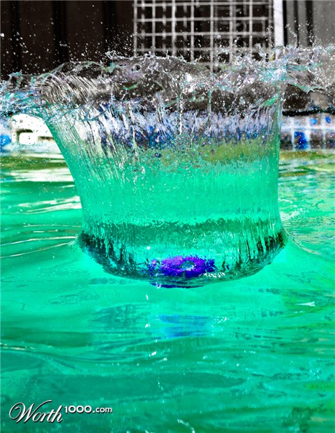 Photography by Iamnotworthy