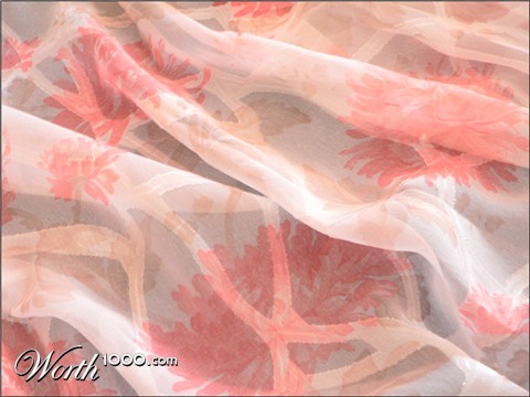 Photography by sgatanstu