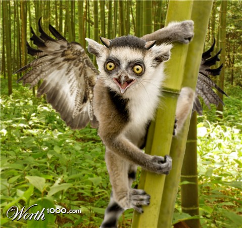 Photoshop Design by breimer