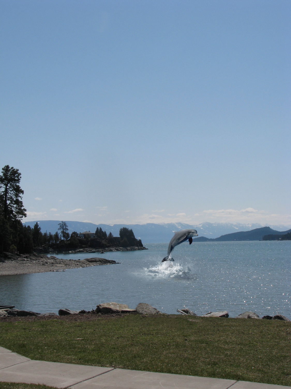 Photoshop Design by Chipa2 for DesignCrowd (Community Contests) | Design #8949344