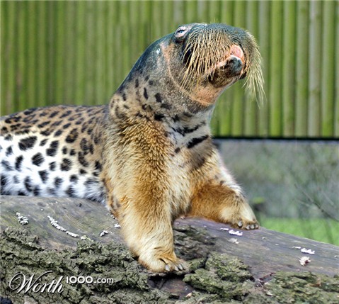 Photoshop Design by DeLaars