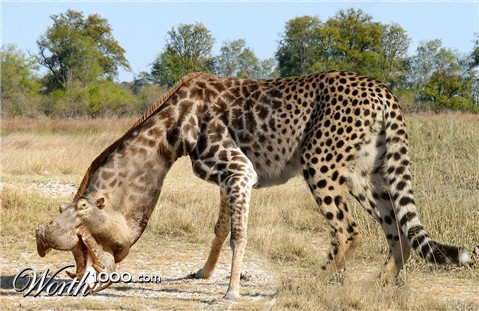 Photoshop Design by despiris