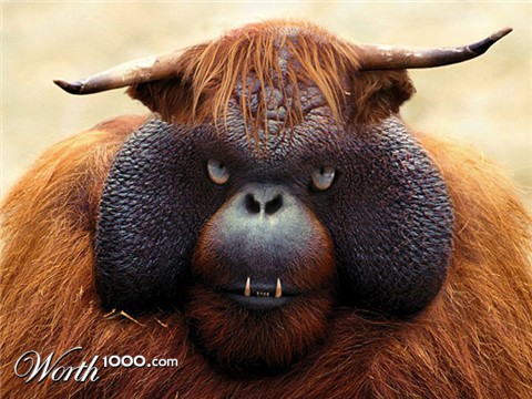 Photoshop Design by urnmns