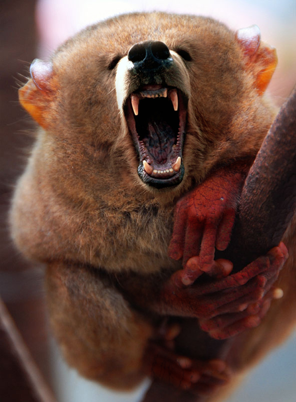 Diseño de Photoshop por 1passible para DesignCrowd (Community Contests) | Diseño #8949827