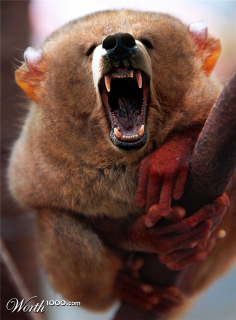 Photoshop Design by 1passible