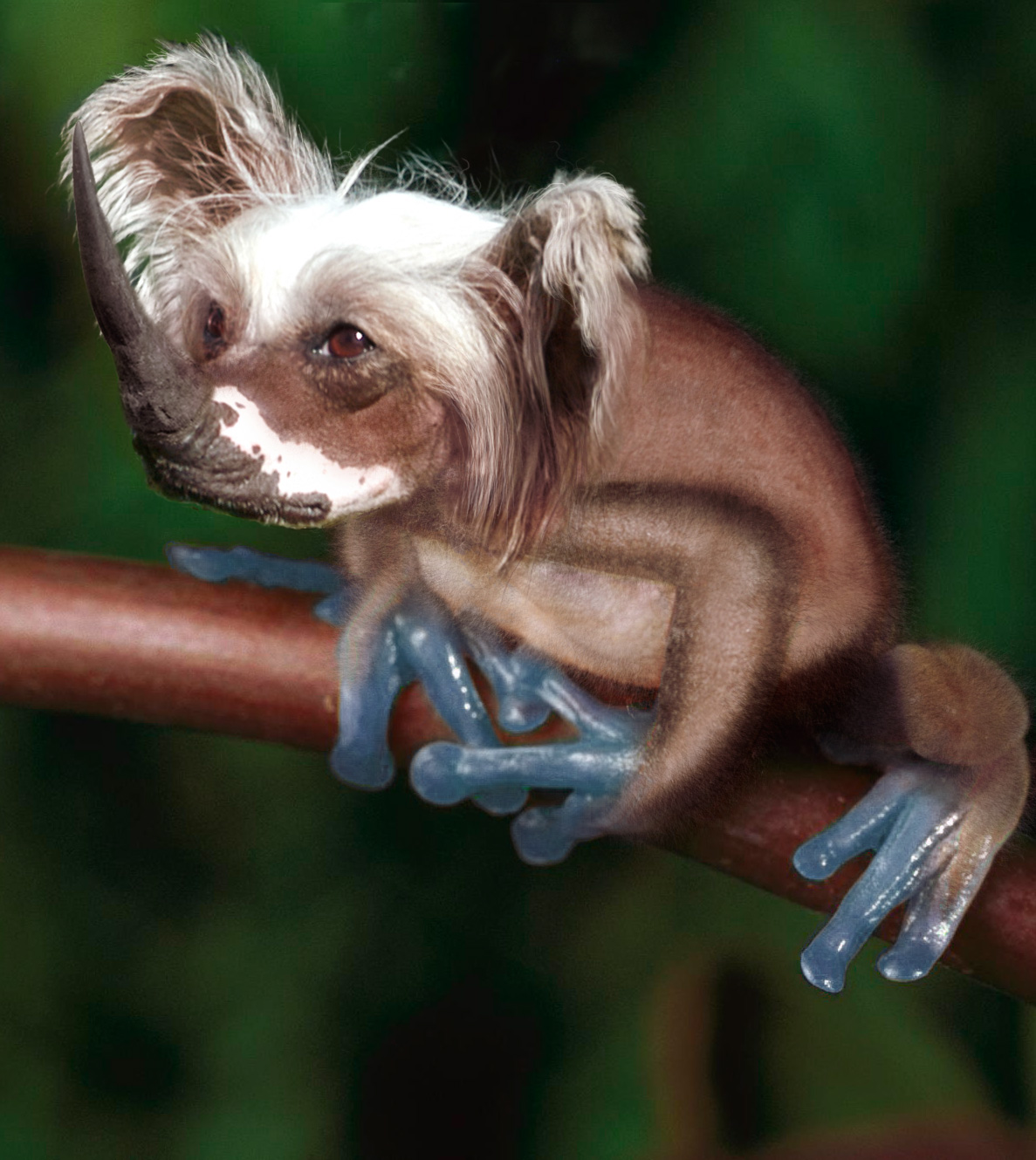 Design Photoshop par Stadsman pour DesignCrowd (Community Contests) | Design #8949770