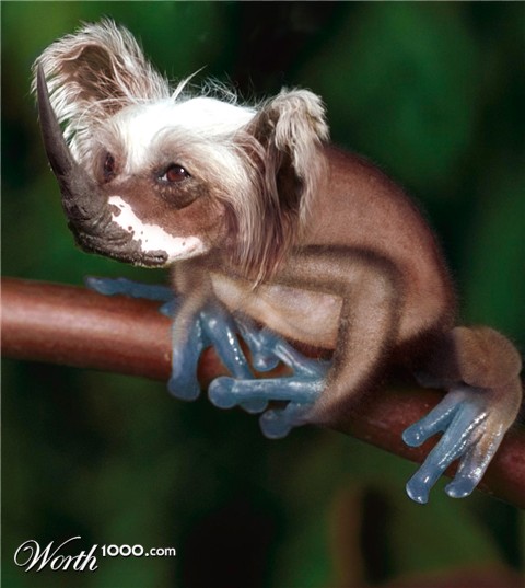 Photoshop Design by Stadsman