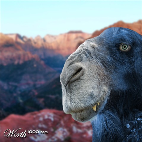 Photoshop Design by markfrizzell