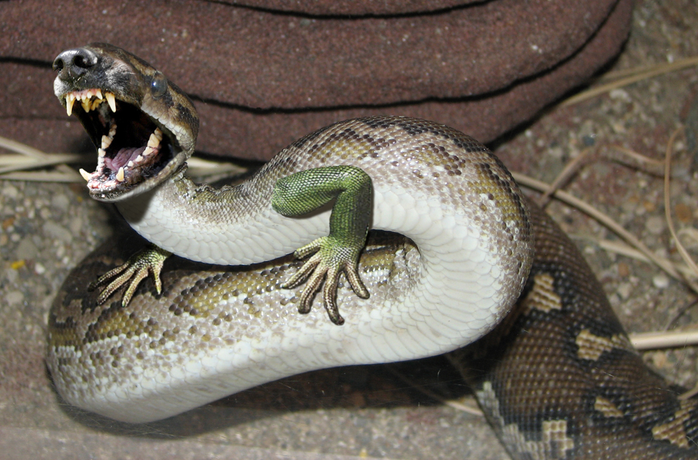 Photoshop Design by bicyclewilli for DesignCrowd (Community Contests) | Design #8949803