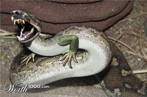 Photoshop Design by bicyclewilli