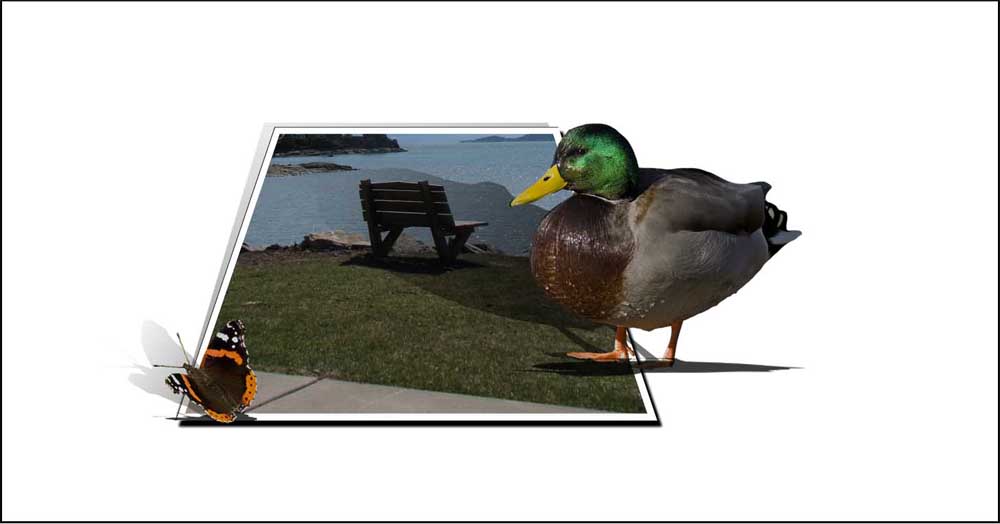 Photoshop Design by EmmaMay for DesignCrowd (Community Contests) | Design #8949434