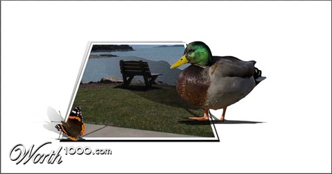 Photoshop Design by EmmaMay