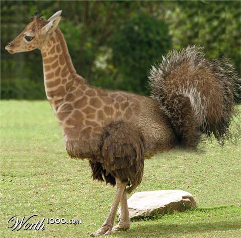 Photoshop Design by EmmaMay