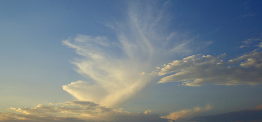 Fotografía por rebeccatroy para DesignCrowd (Community Contests) | Diseño #8947058