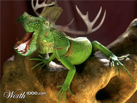 Photoshop Design by romeskinner