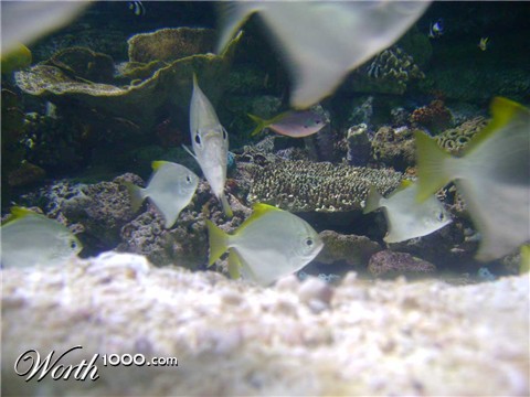 Photography by narinearraul