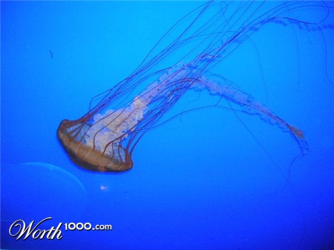 Photography by keri0105