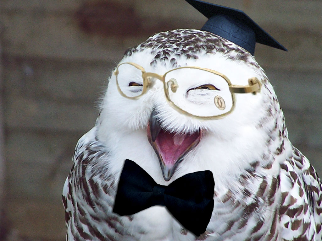 Photoshop Design by bovea1 for DesignCrowd (Community Contests) | Design #8941957