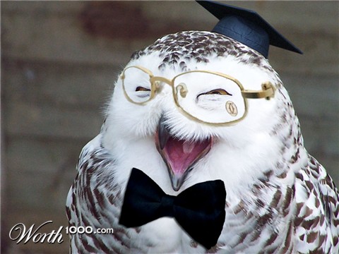 Photoshop Design by bovea1