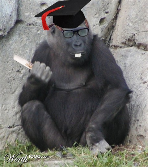 Photoshop Design by Plobafob