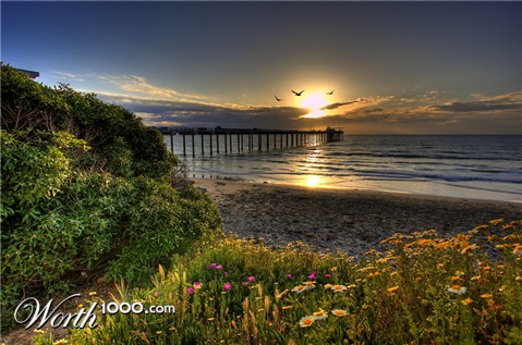 Photography by tropicalphotos