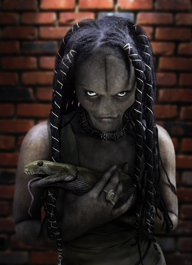 Design Photoshop par YearoftheDragon pour DesignCrowd (Community Contests) | Design #8948628