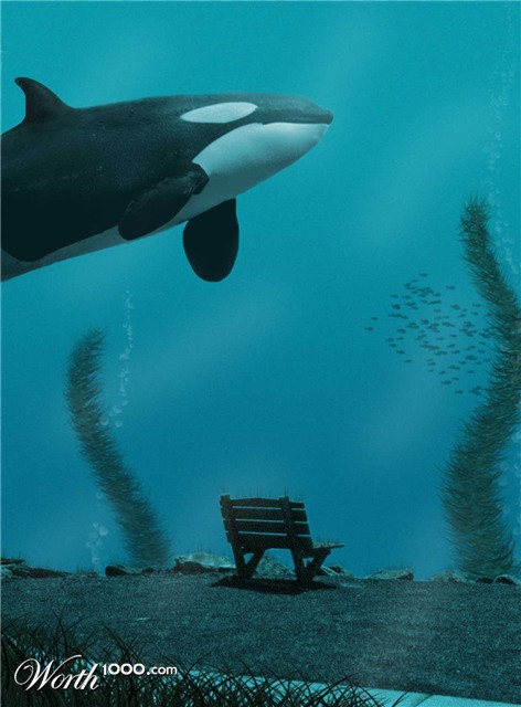 Photoshop Design by Spritza