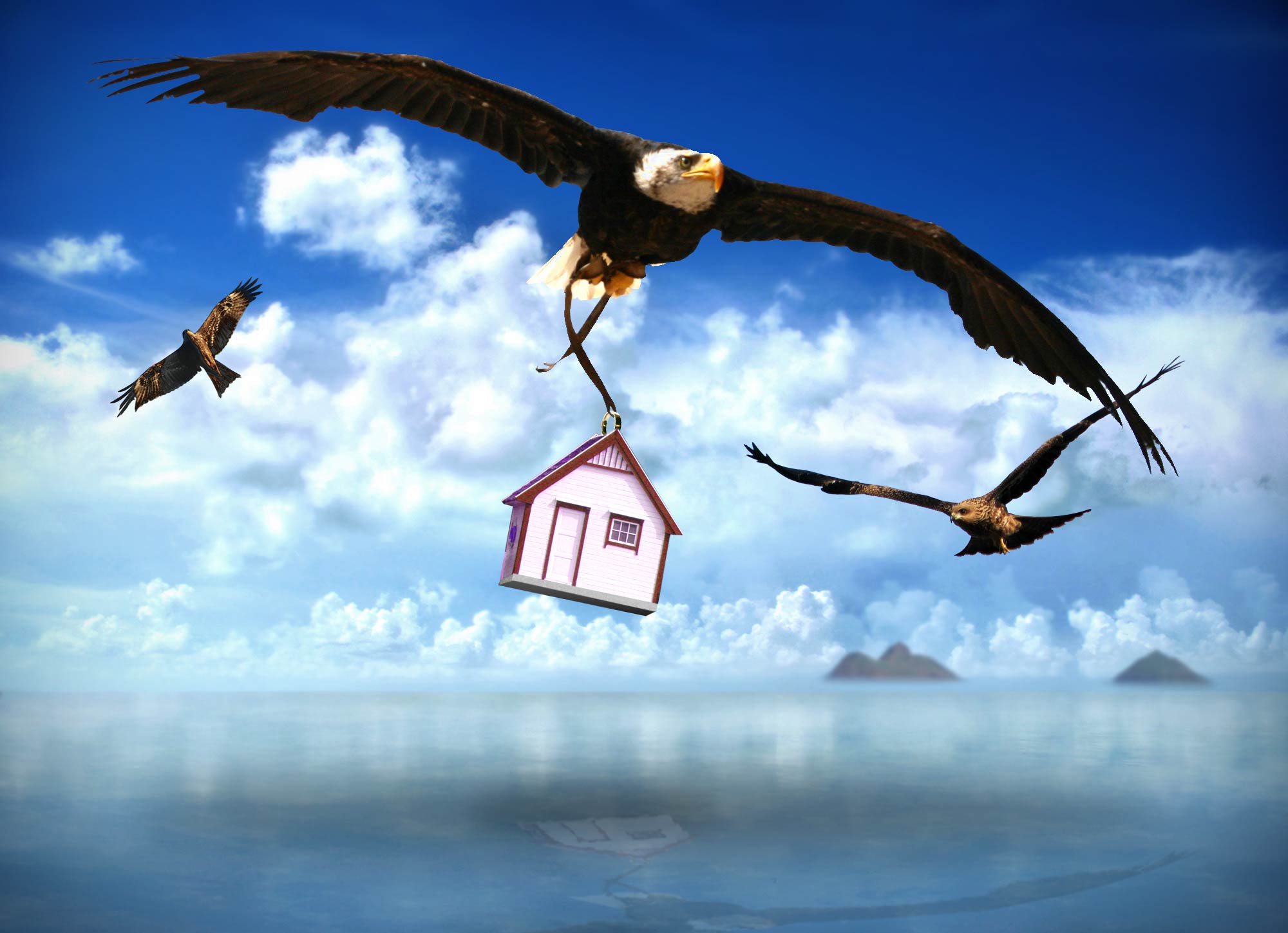 Photoshop Design by Monkeysniffer08 for DesignCrowd (Community Contests) | Design #8946454