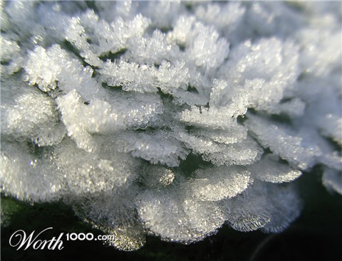 Photography by Sabour