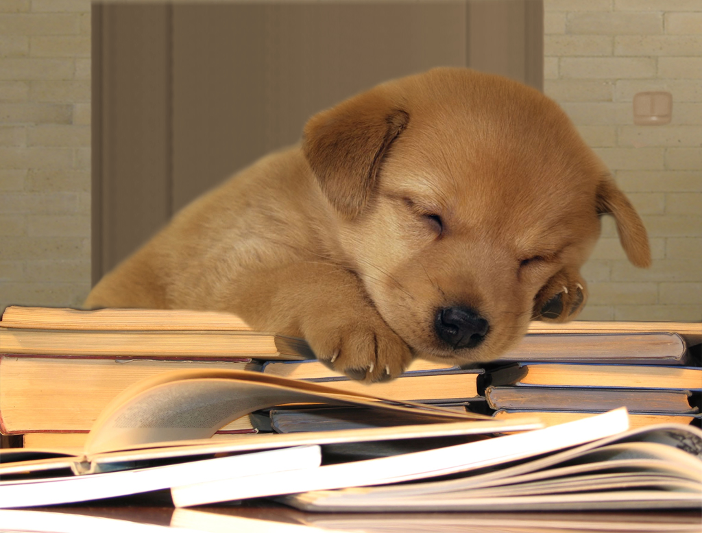 Photoshop Design by Zebulba76 for DesignCrowd (Community Contests) | Design #8942039