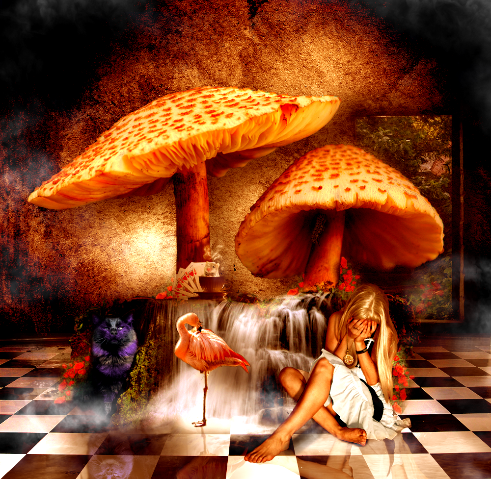 Photoshop Design by Checker for DesignCrowd (Community Contests) | Design #8946489