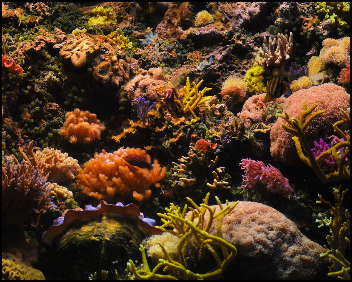 Photography by mmc9496 for DesignCrowd (Community Contests) | Design #8947275