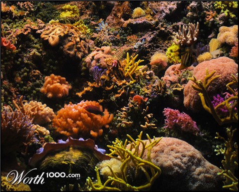 Photography by mmc9496