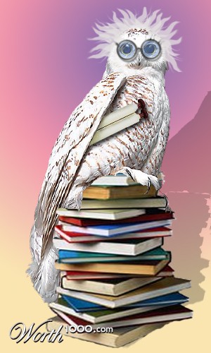 Photoshop Design by KadieKitten