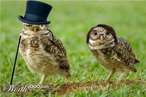 Photoshop Design by error5001