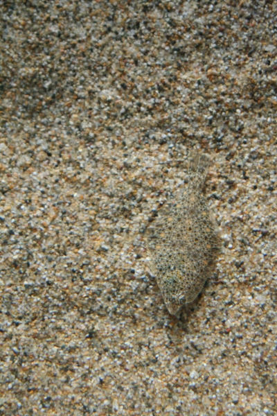 Photography by TheTyzo for DesignCrowd (Community Contests) | Design #8947280