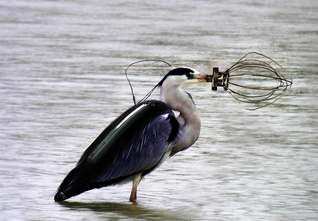 Photoshop Design by Sa3kBZH for DesignCrowd (Community Contests) | Design #8947538