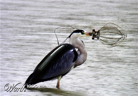 Photoshop Design by Sa3kBZH