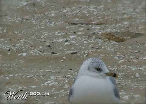 Photography by Audrey Kerchner