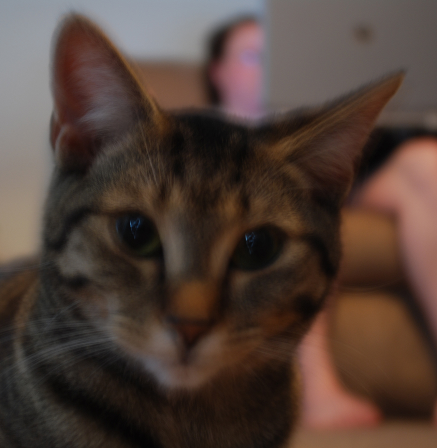 Photography by static83 for DesignCrowd (Community Contests) | Design #8947226